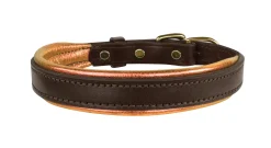 Perri’s® Padded Leather Nameplate Dog Collar