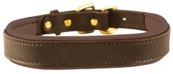 Perri’s® Padded Leather Nameplate Dog Collar