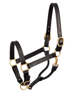 Perri’s® Premium Leather XL Show Halter