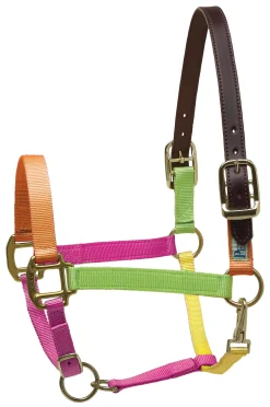 Perri’s® Premium Nylon Breakaway Halter