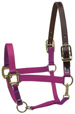 Perri’s® Premium Nylon Breakaway Halter