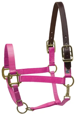 Perri’s® Premium Nylon Breakaway Halter