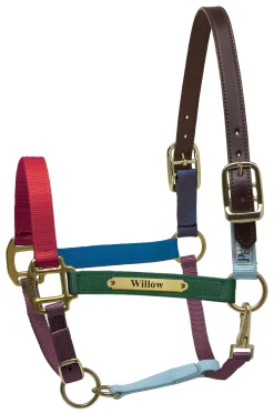 Perri’s® Premium Nylon Safety Halter with Nameplate