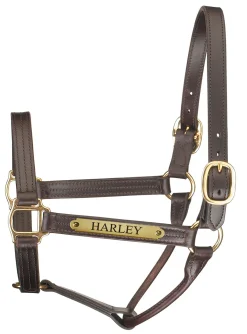 Perri’s® Premium Track Style Leather Show Halter with Nameplate