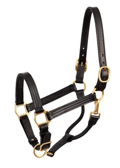 Perri’s® Premium Leather Show Halter