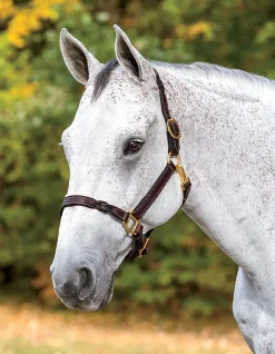 Perri’s® Twisted Leather Halter