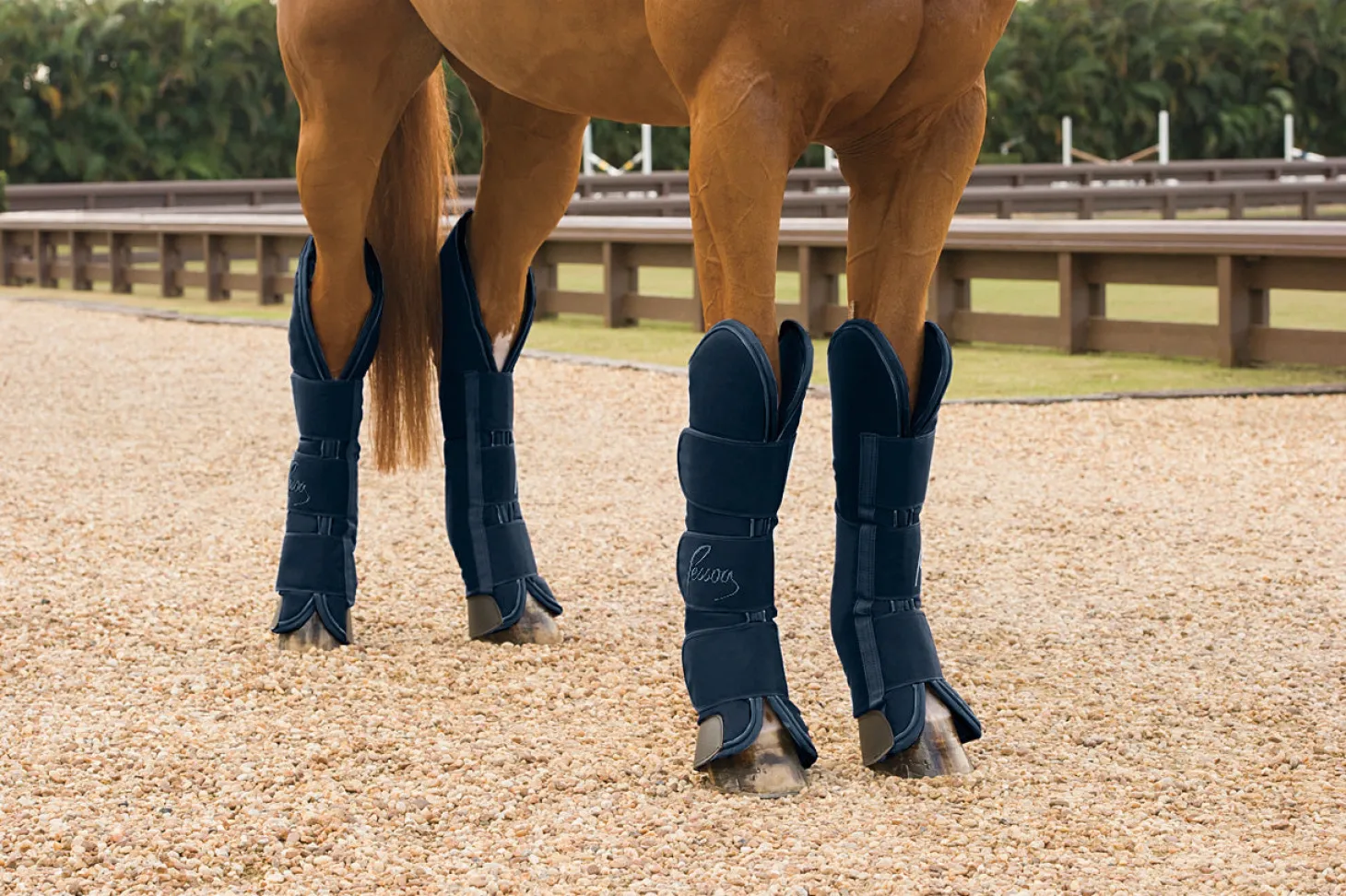 Pessoa Shipping Boots