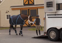 Pony Stable Bandages