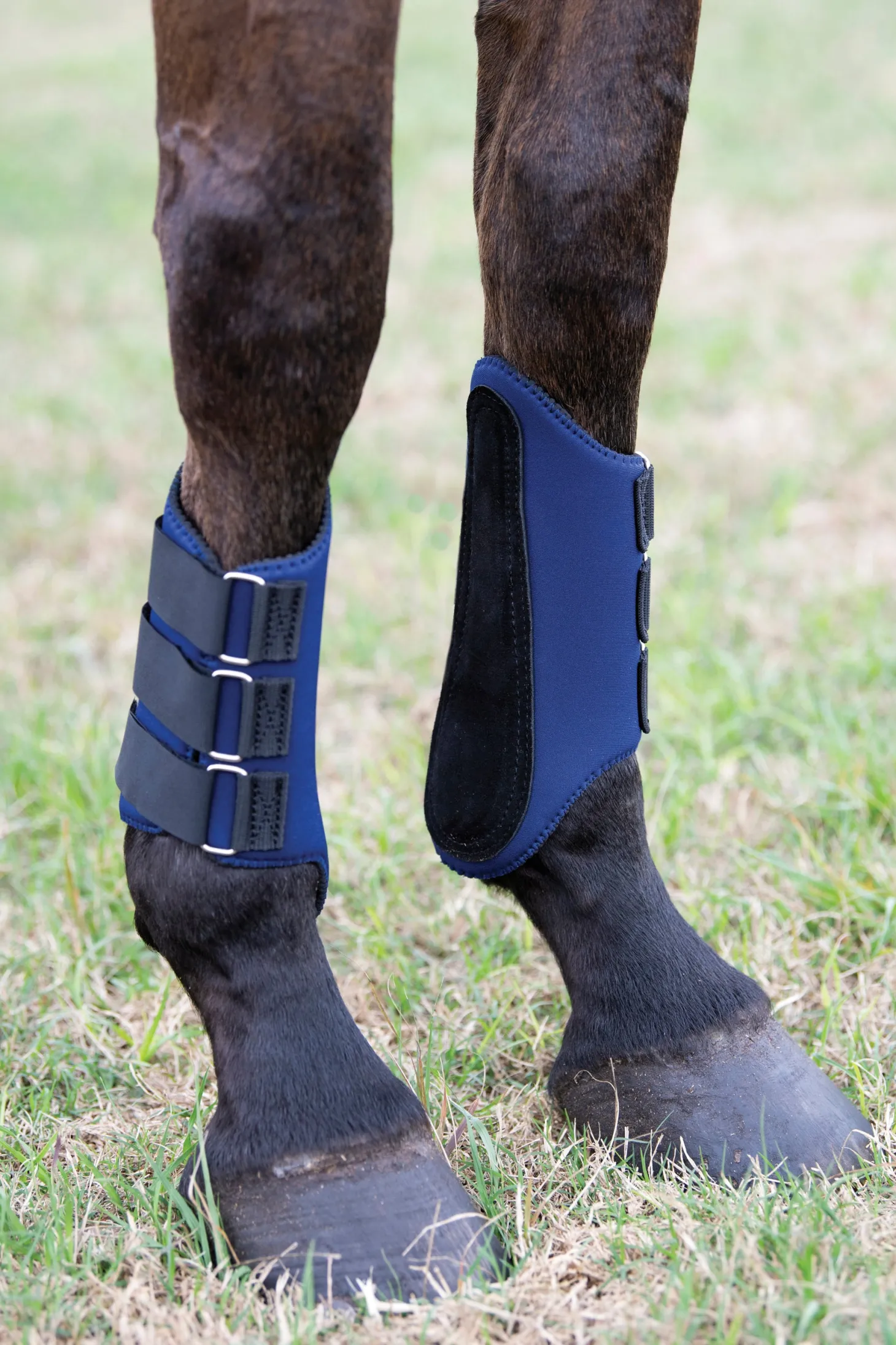Rider’s International™ All-Purpose Galloping Boots