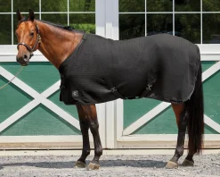 Rider’s International™ Chill Chaser