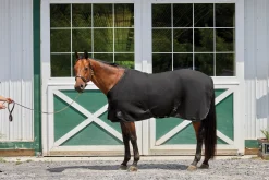 Rider’s International™ Chill Chaser