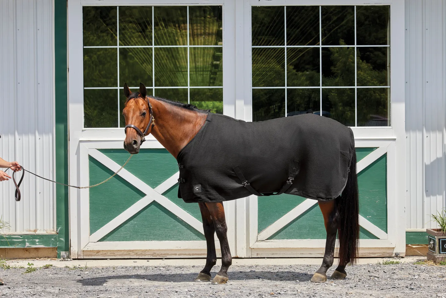 Rider’s International™ Chill Chaser