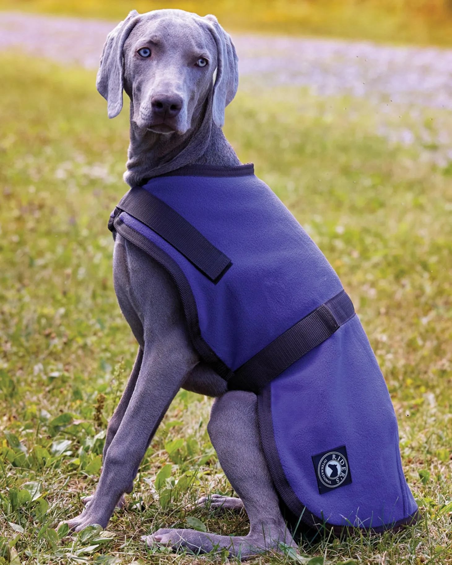 Rider’s International™ Fleece Dog Cooler