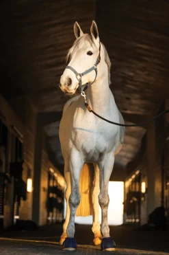 Rider's International™ Rubber Hook-and-Loop Bell Boots