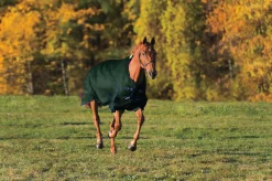 Rider’s International™ Supreme Heavyweight Turnout Blanket