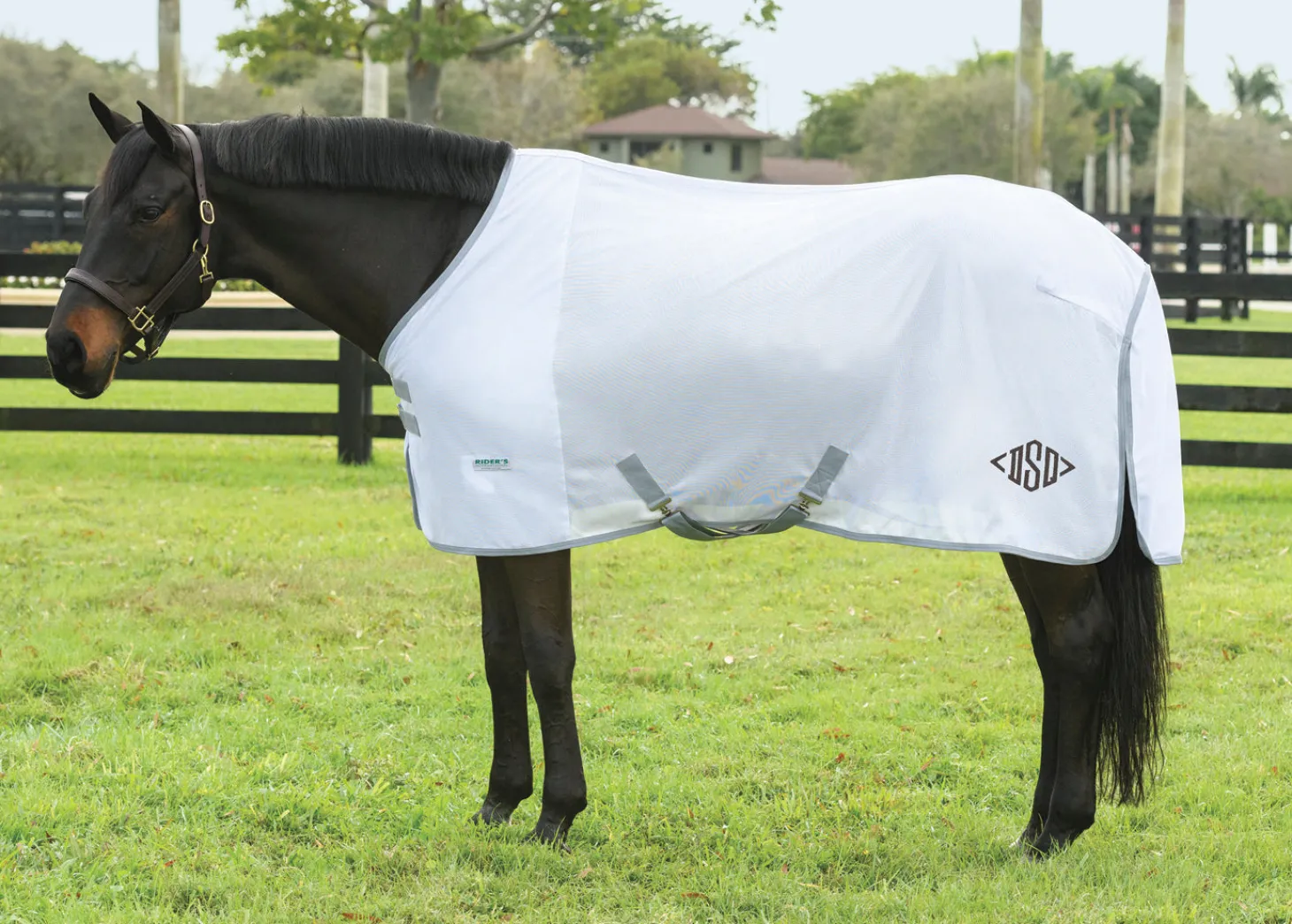 Rider’s International™ Fly Sheet