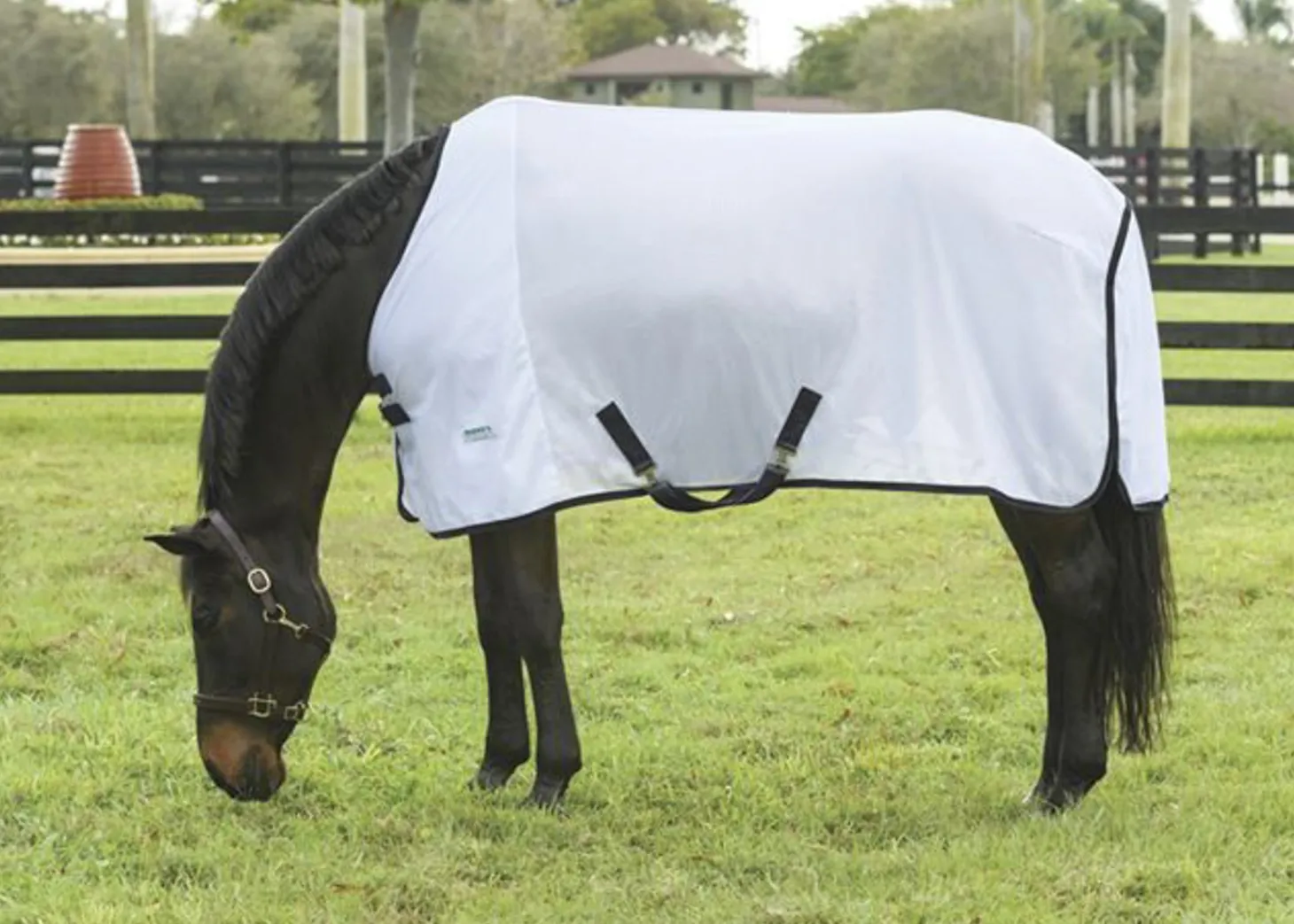 Rider’s International™ Fly Sheet