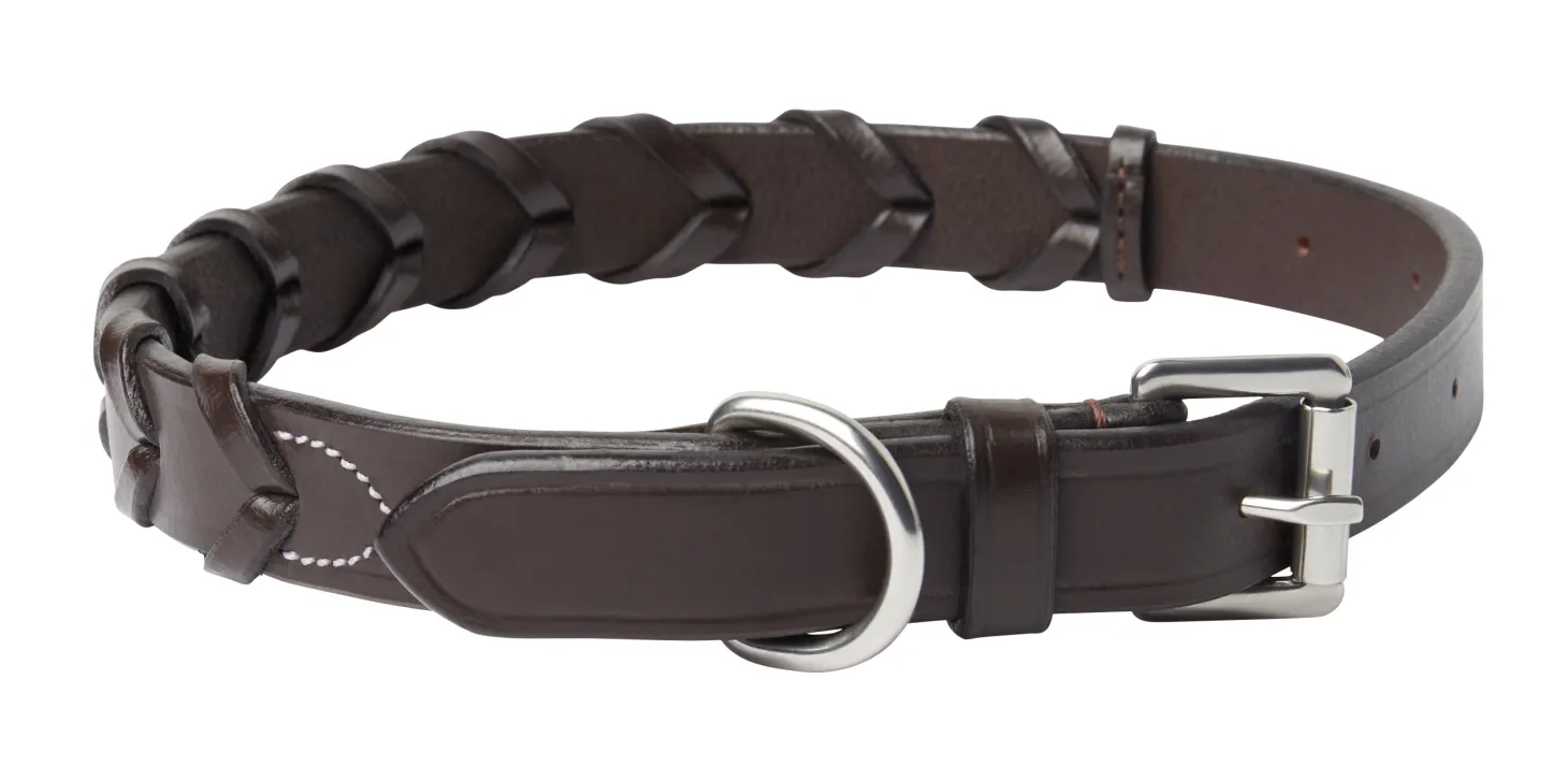 Rider’s International™ Laced Rein Dog Collar