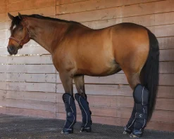 Rider’s International™ Shipping Boot Set