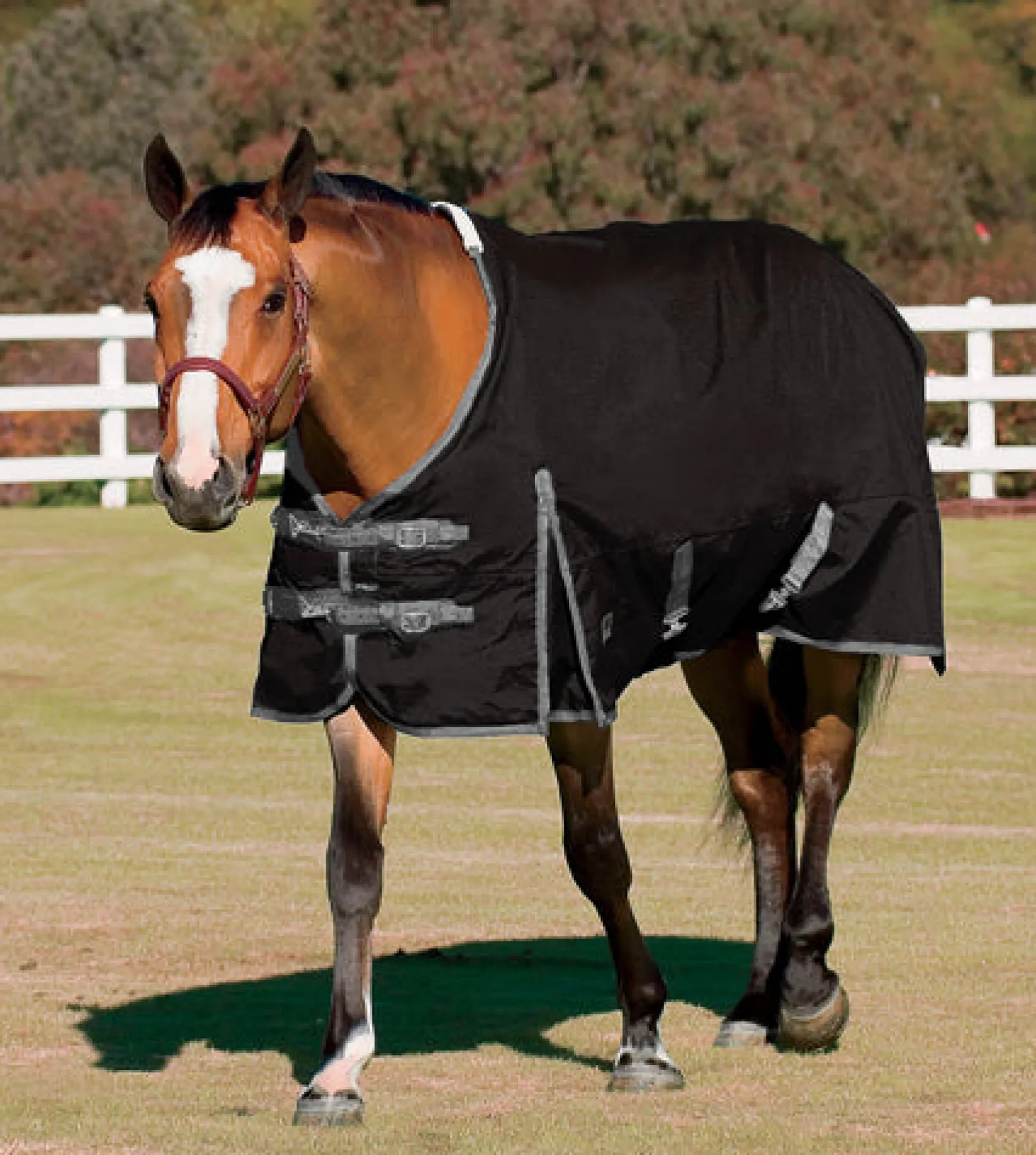 Rider’s International™ Supreme Turnout Sheet