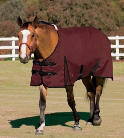 Rider’s International™ Supreme Turnout Sheet