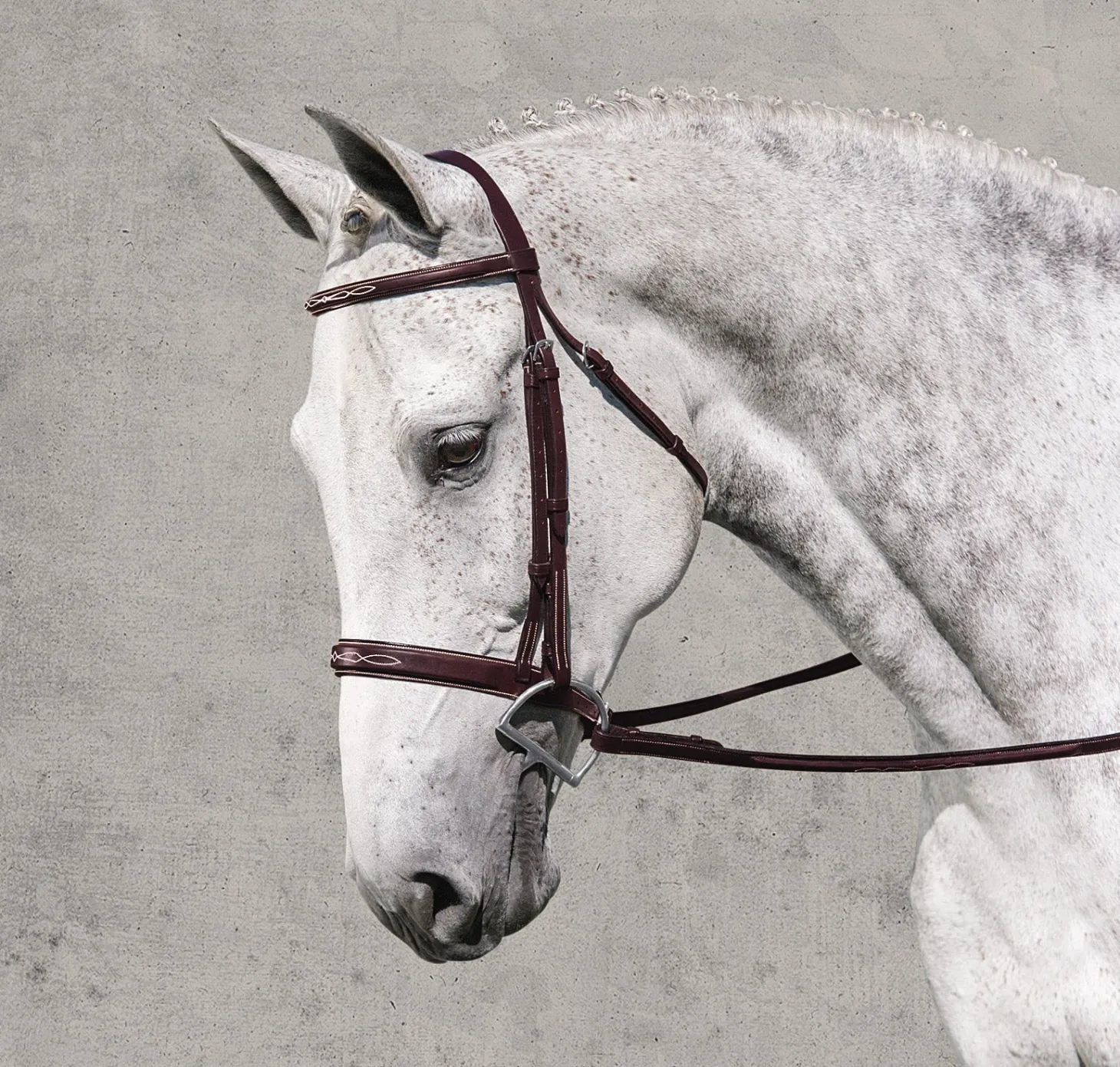 Rodrigo Classic Hunter Bridle