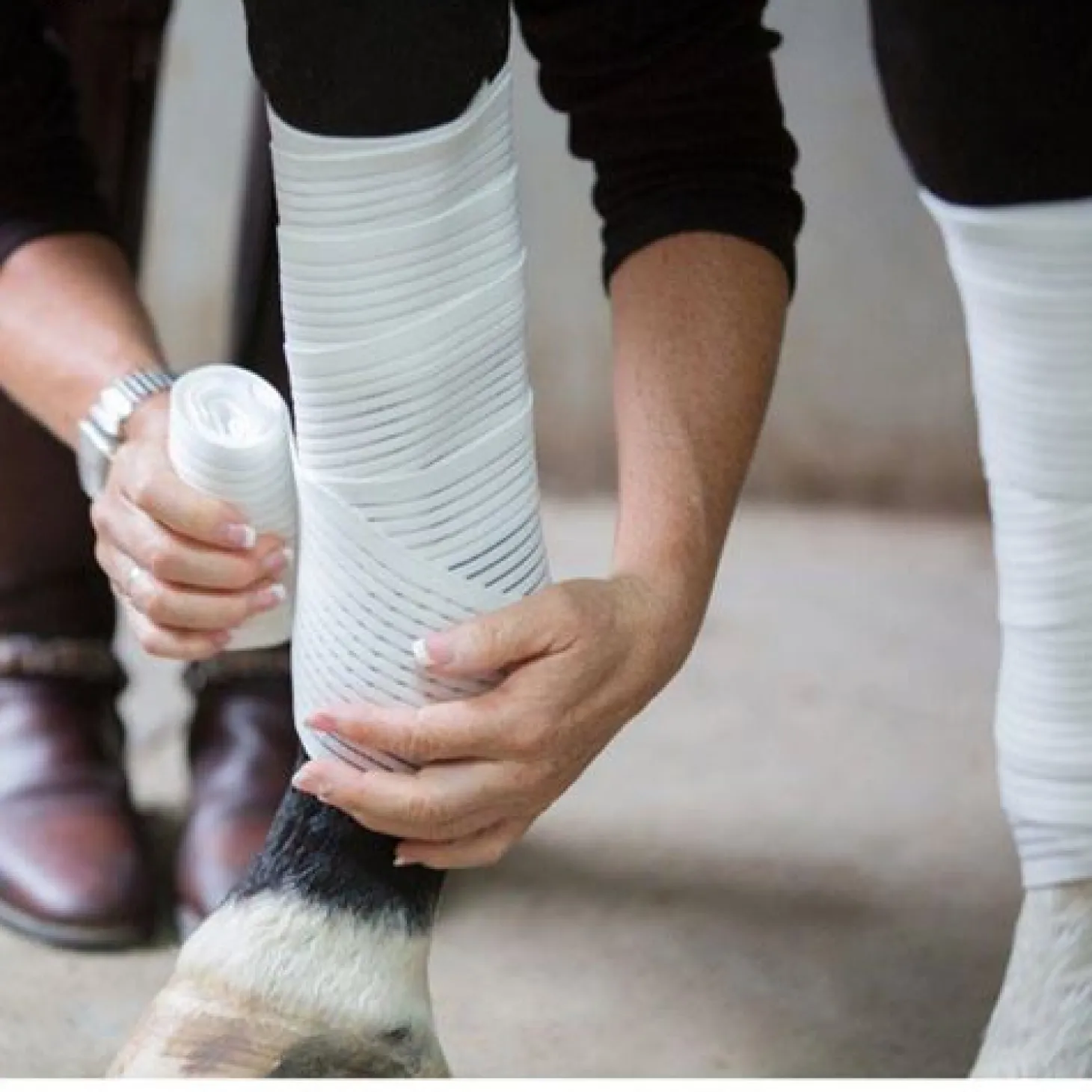 Saratoga Bandages (2-Pack)