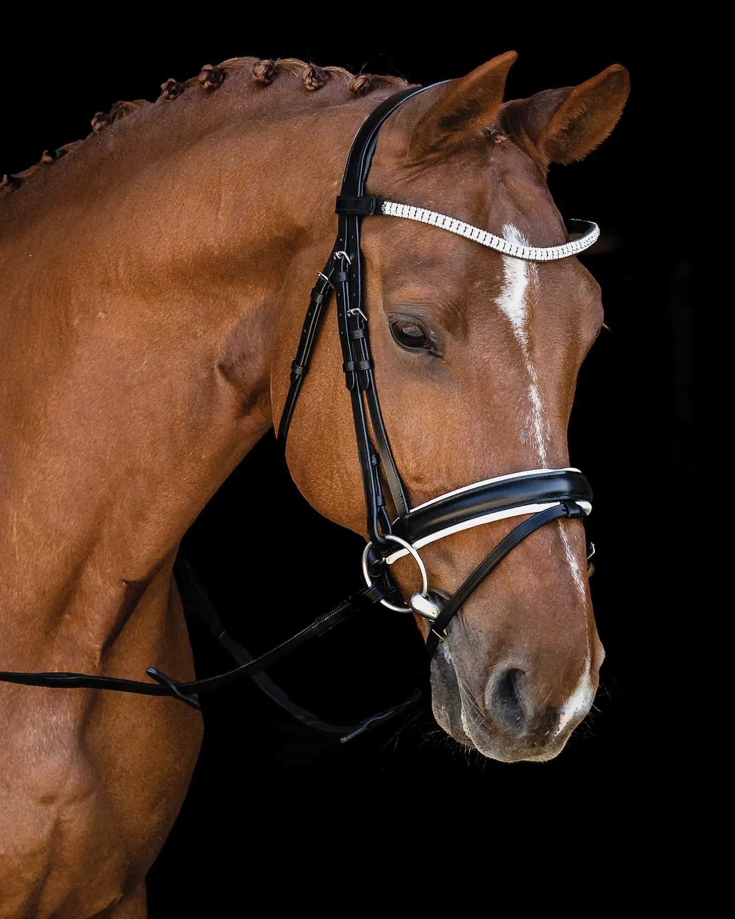 Schockemöhle Malaga Bridle