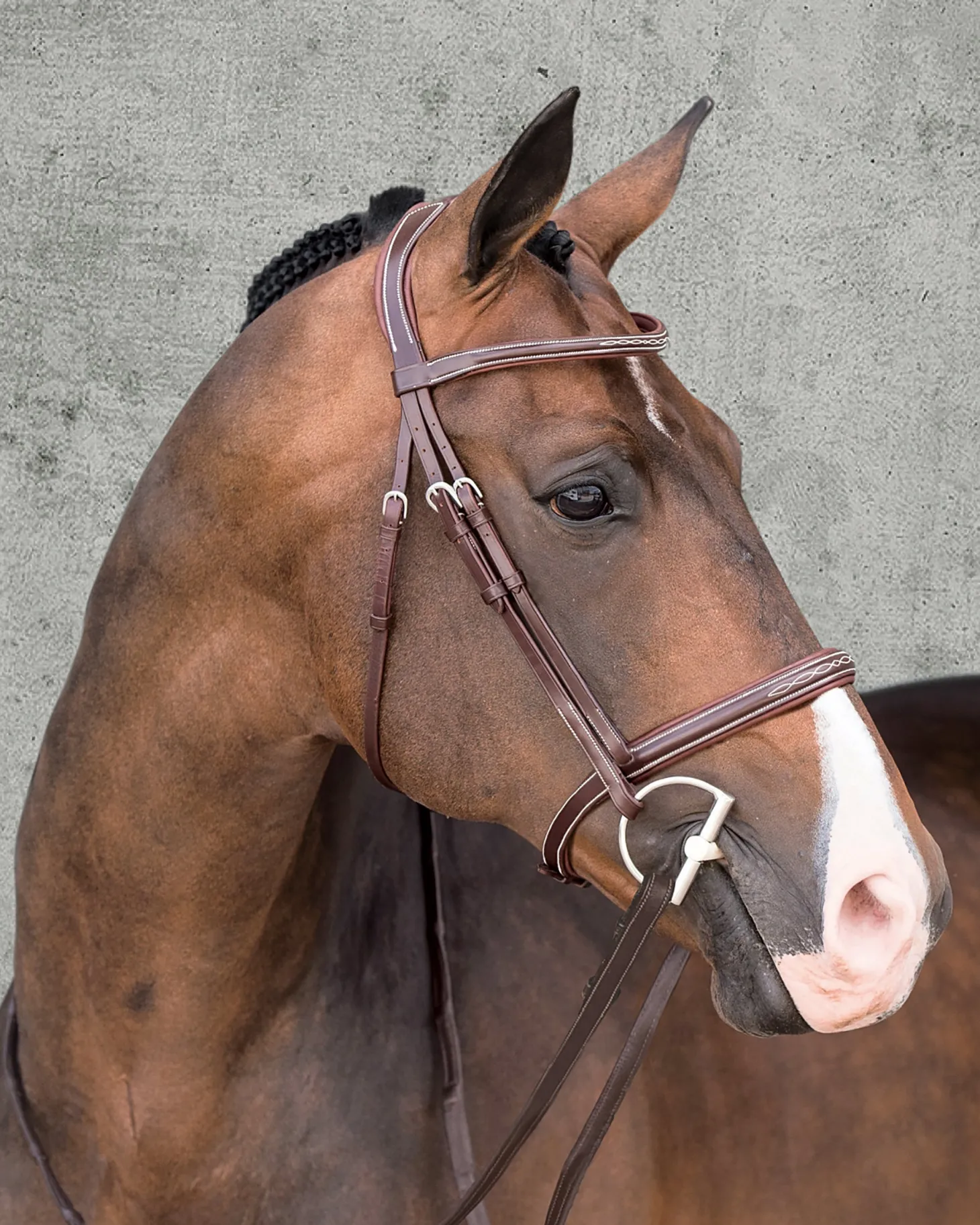 Schockemöhle Montreal Select Anatomic Hunter Bridle