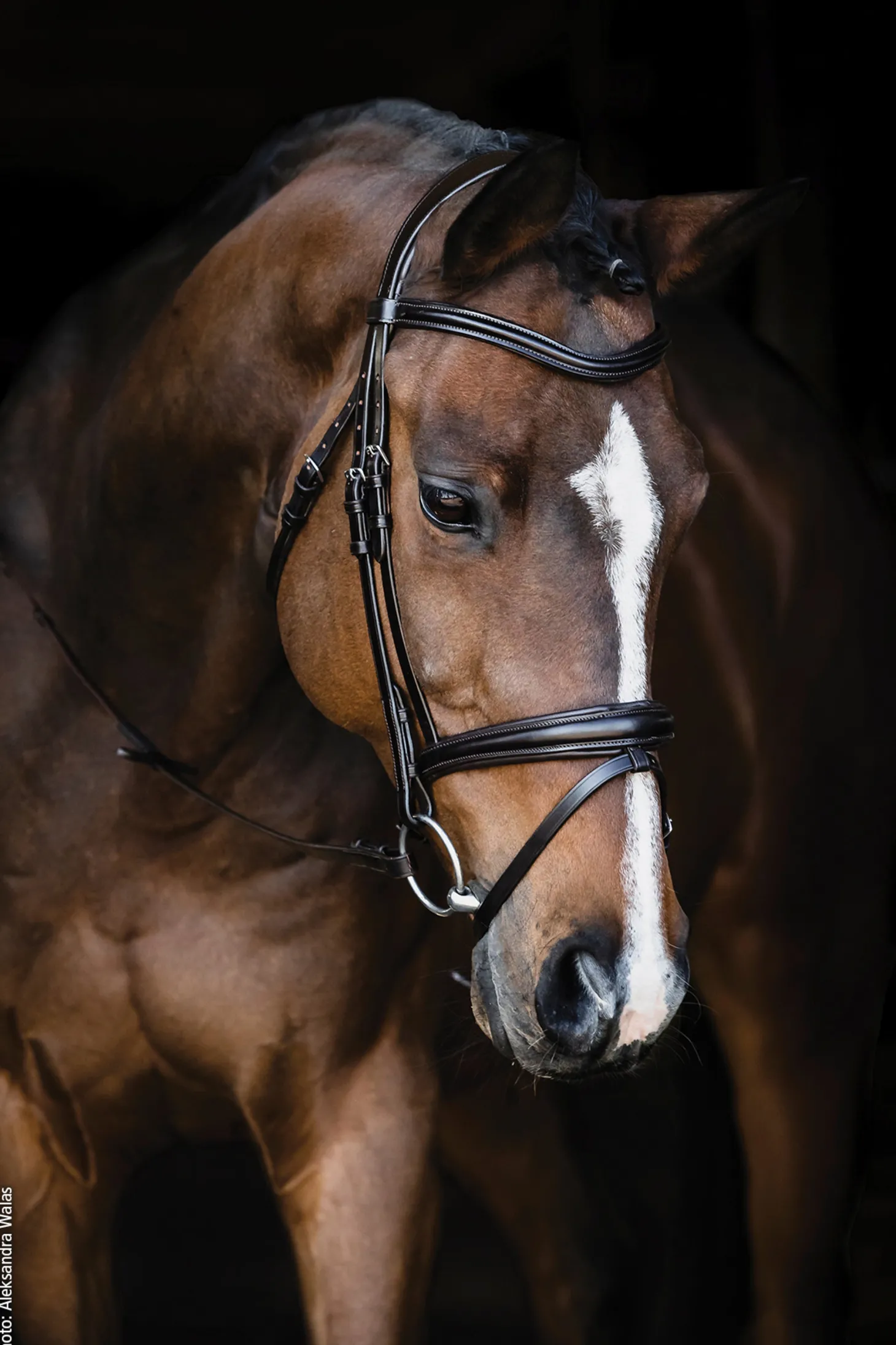 Schockemöhle Monza Bridle