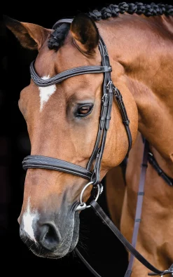 Schockemöhle Monza Fancy Stitched Bridle