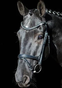 Schockemöhle Rome Select Bridle