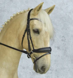 Schockemöhle Stanford Bridle