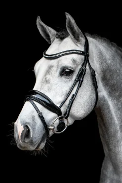 Schockemöhle Malibu Bridle