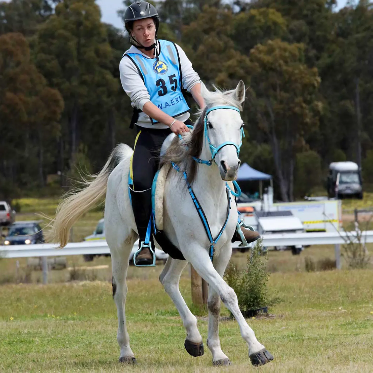 Scoot Boot Skins Glue-On - 2 Pack