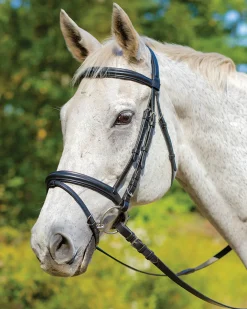 Shires Avignon Louisville Bridle