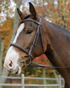 Shires Avignon Nashville Bridle