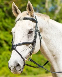 Shires Avignon Woodside Bridle