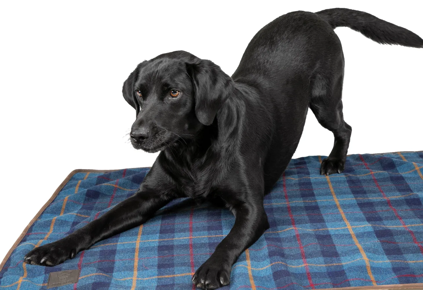 Shires Digby & Fox Large Tweed Blanket