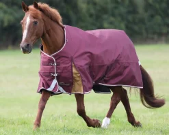 Shires Highlander 100G Blanket