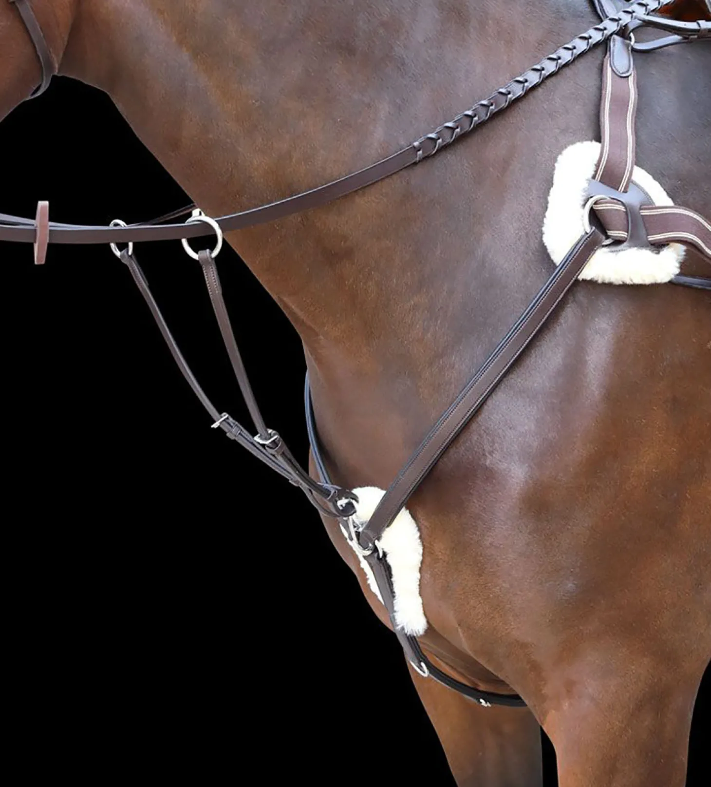 Shires Rossano Five-Point Breastplate