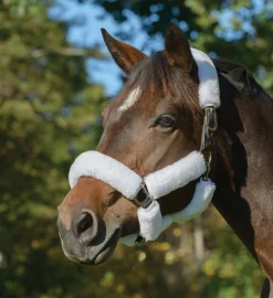 Shires SupaFleece Halter Fleeces - 9 piece set