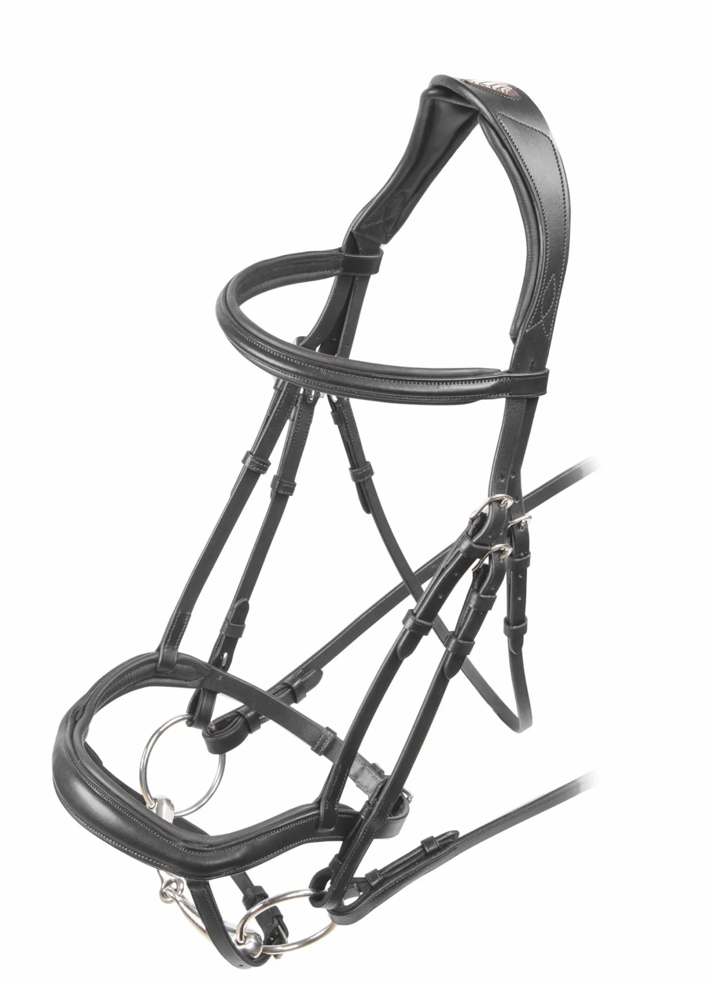 Shires Velociti Rapida Ergonomic Flash Bridle
