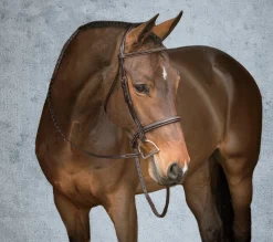 Showmark® Premier Hunter Bridle