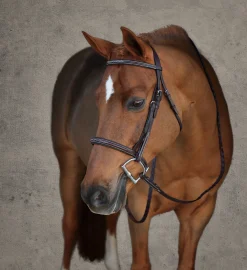 Showmark® Premier Padded Pony Hunter Bridle