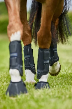 Stübben Hybrid Cross Country Hind Boots
