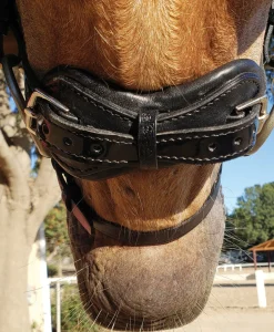 Stübben Patent Switch Combo Bridle