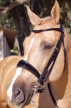 Stübben Patent Switch Combo Bridle