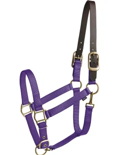 Suffolk™ Heavy Nylon Halter with Breakaway Crown
