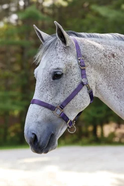 Suffolk™ Nylon Breakaway Halter